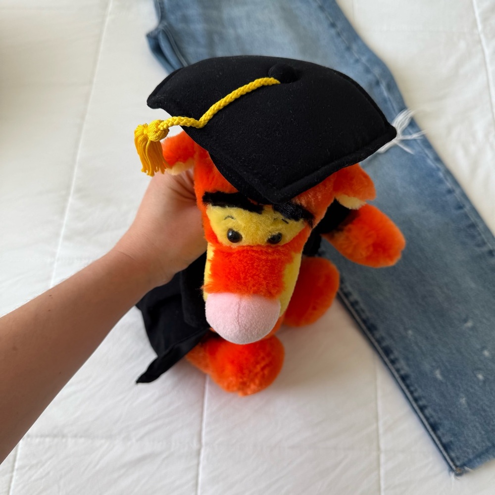 Disney Tiger Orange Plush‎ Toy with Black Graduation Cape - Picture 3 of 4